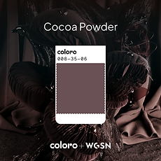 Cacao Powder colour swatch with fabric on back ground