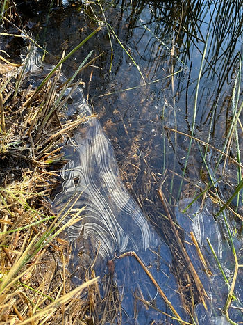 Water freezing on a lake in France