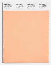 Pantone colour of the year 2024 Peach Fuzz