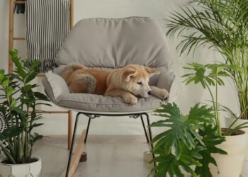 redesigning and renewing