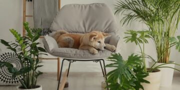 redesigning and renewing