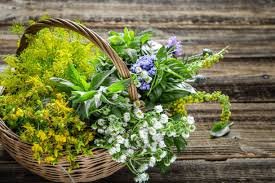 An aromatic herb basket with the  healing power of fresh herbs